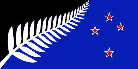 Proposed New Zealand flag: a silver fern dividing black and blue, with four red stars of the Southern Cross